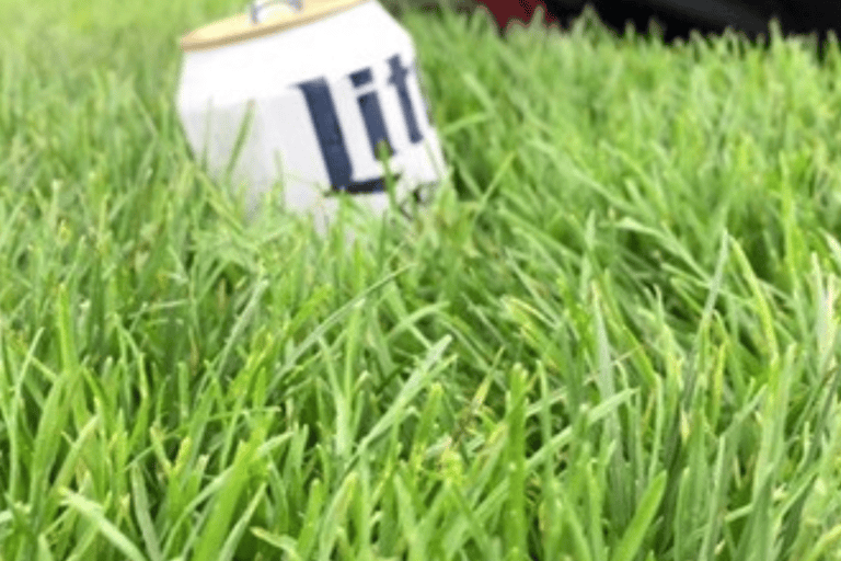 Know Your Grass